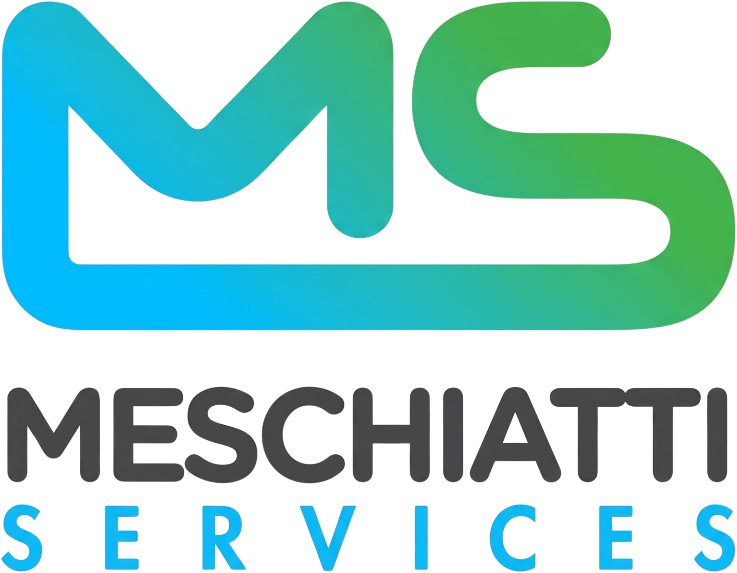 Meschiatti Services